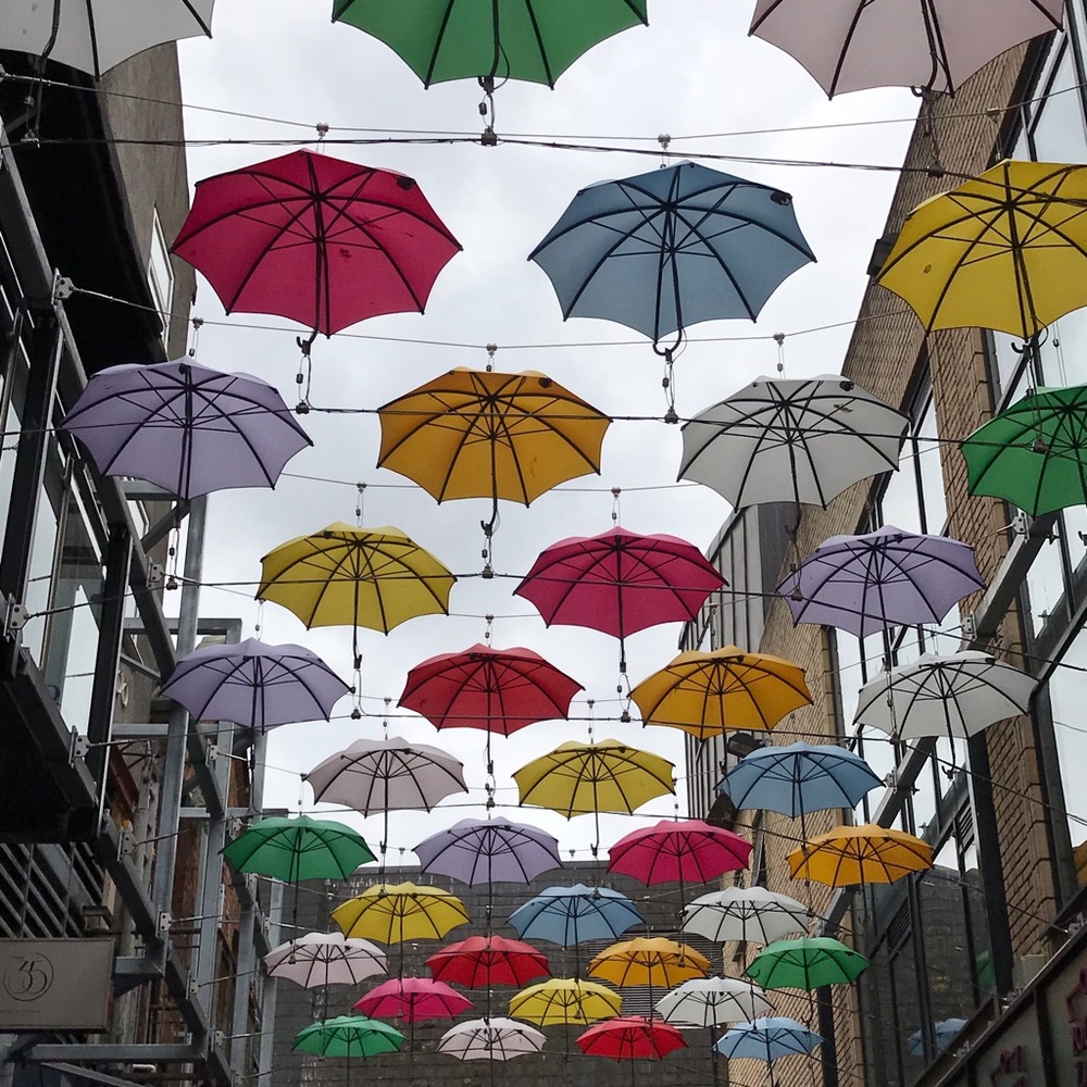 Welcome to my closet! 💚